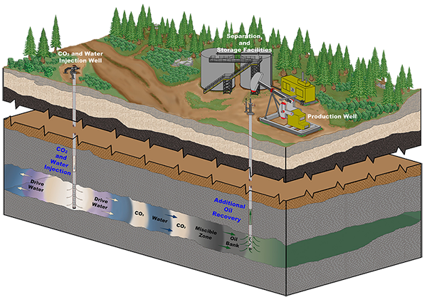 schematic diagram of enhanced oil recovery with CO2 and water